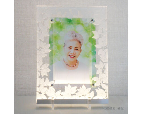 49_leaves_03-2