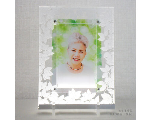 49_leaves_01-2