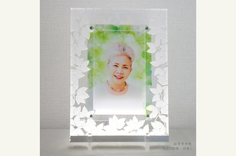 49_leaves_01-2