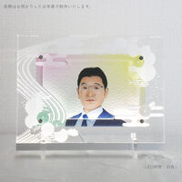 四季 丸菊