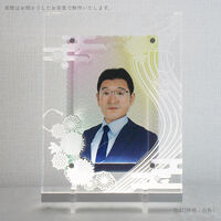 四季 菊