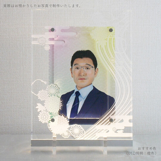 四季 菊
