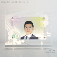 四季 丸菊
