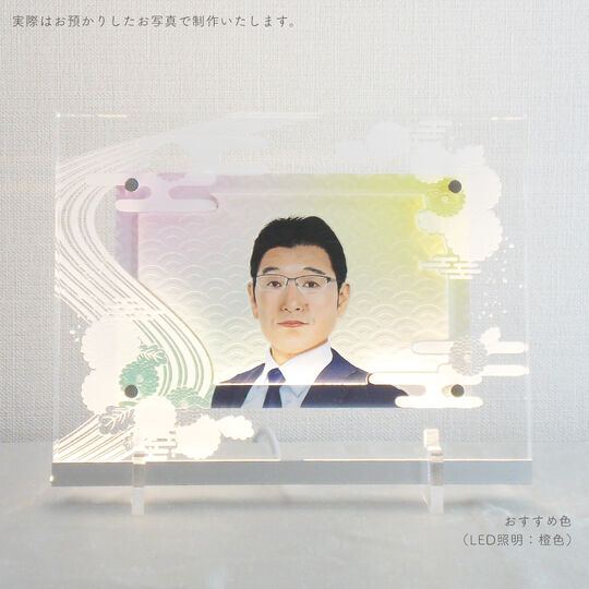 四季 丸菊